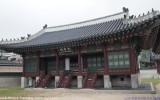말과 글 그리고 서예