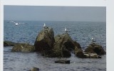 월간 순국 '순국 gallery' -…