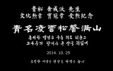 청송 김성옥 선생(강남문화원장) 문화…