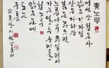 청노루