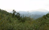 김천 청암사 산사음악회 사회
