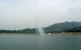 국교 74학번