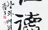 멈추면 비로소 보이는 것들