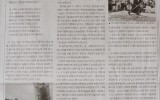 한국문학신문 칼럼24 - 한강 살가지