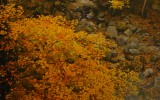 국보문학 2010. 11월호 - 산 …